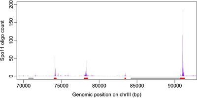 Epigenetic Marks and Variation of Sequence-Based Information Along Genomic Regions Are Predictive of Recombination Hot/Cold Spots in Saccharomyces cerevisiae